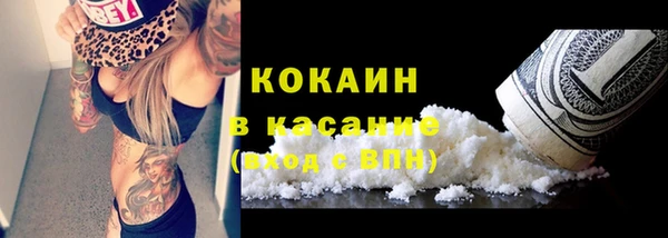 соль ск Алзамай