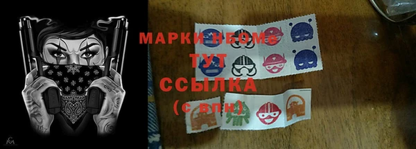 молекула духа Алексеевка