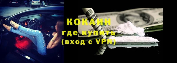 соль ск Алзамай