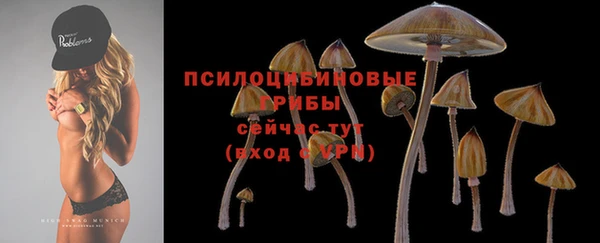 соль ск Алзамай