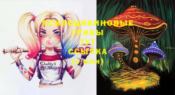 соль ск Алзамай
