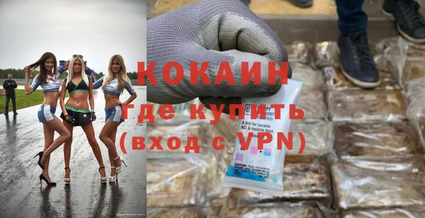 ешки Алексин