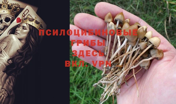 молекула духа Алексеевка
