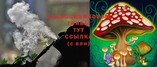 соль ск Алзамай