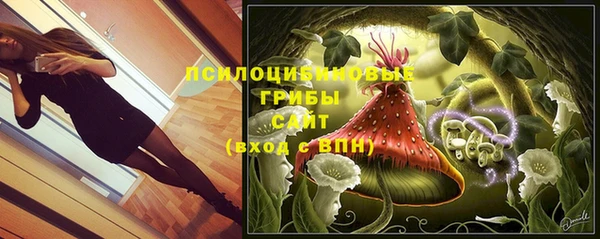 ешки Алексин